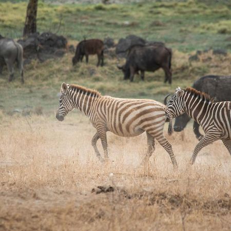 Sarova Lion Hill Game Lodge Nakuru Zewnętrze zdjęcie