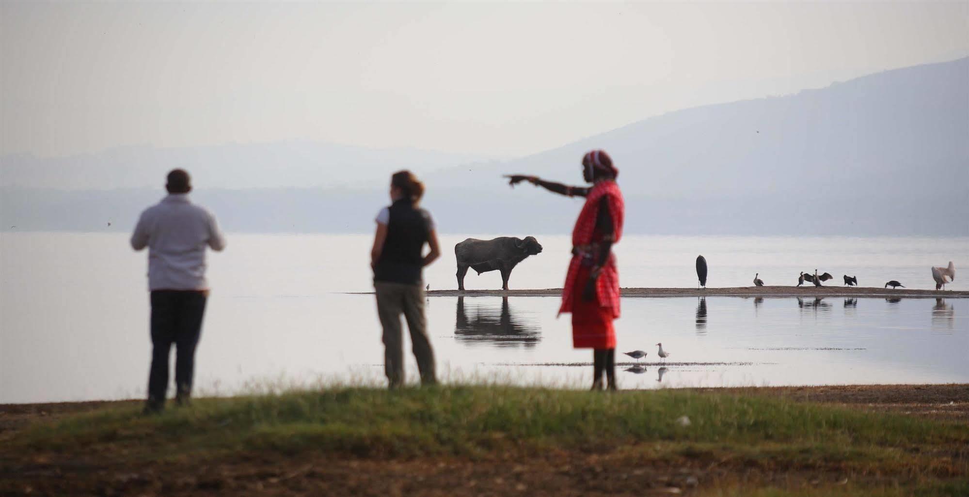 Sarova Lion Hill Game Lodge Nakuru Zewnętrze zdjęcie